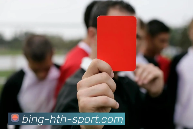 华体会体育服务体系